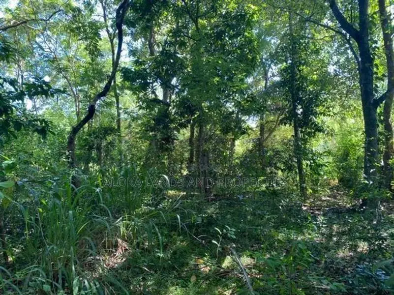 Land For Sale in Dambulla - දඹුල්ලෙන් ඉඩමක් විකිණීමට