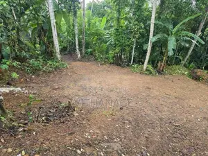 Land for Sale in Hanwella