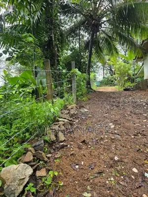 Land for Sale in Hanwella