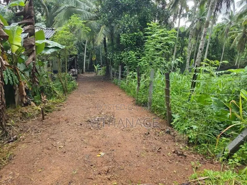 Land for Sale in Hanwella