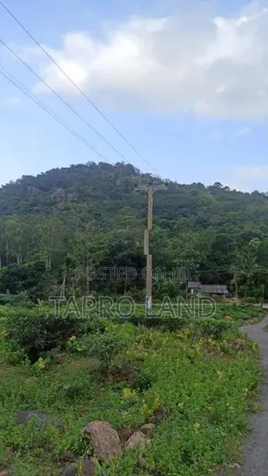 Land for Sale near Namunukula Mountain in Ella