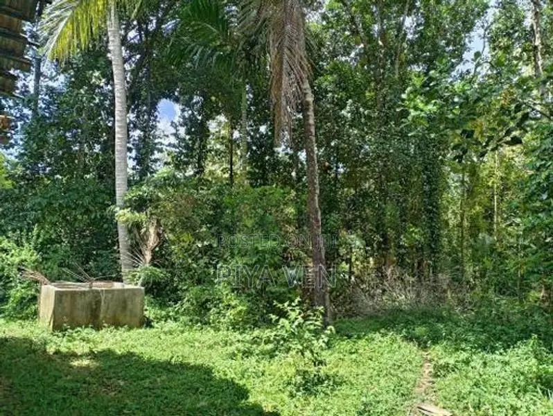 House for Sale වීරකැටිය