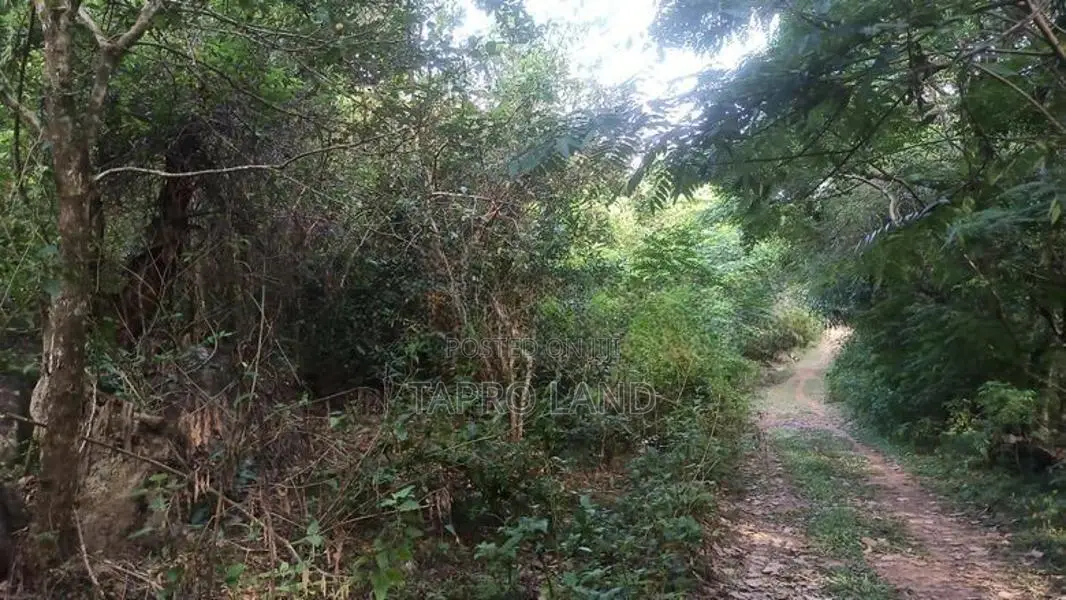 Land for Sale near Namunukula Mountain in Ella