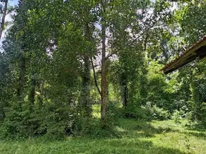 House for Sale වීරකැටිය