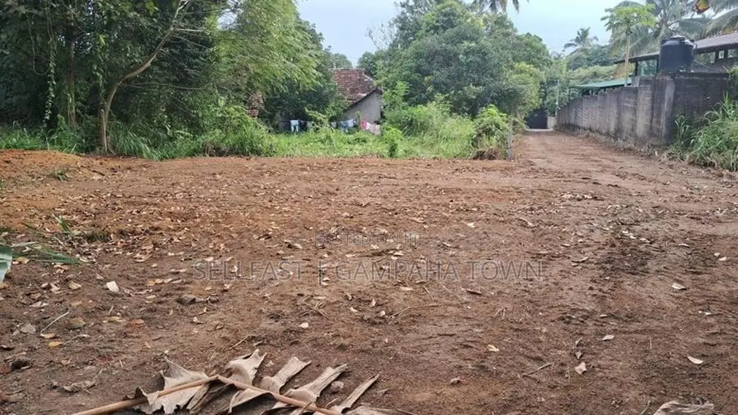 Land For Sale