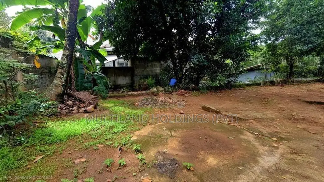 20P Land With Old House For Sale in Lewella