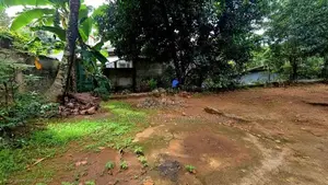 20P Land With Old House For Sale in Lewella