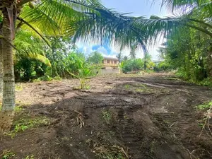 Land For Sale From Panadura - Off Horana Rd 50 Meters