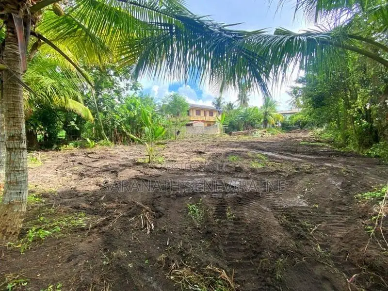 Land For Sale From Panadura - Off Horana Rd 50 Meters