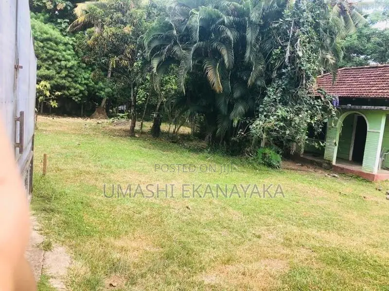 Land for Sale in Kurunegla