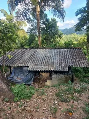 2 Acres 64 Perches Cinnamon Land for Sale in Yakkalamulla, Galle