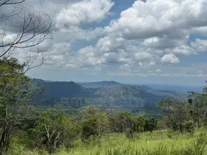 SCENIC LAND FOR SALE IN HAPUTALE BERAGALA TOURISM BELT