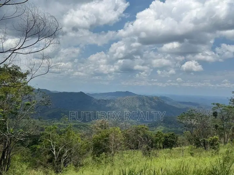 SCENIC LAND FOR SALE IN HAPUTALE BERAGALA TOURISM BELT