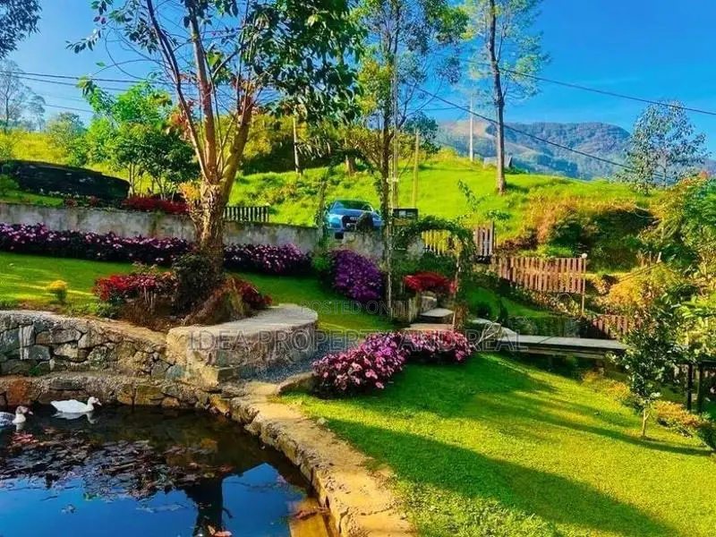 ( SDC-355)Highly Valuable Commercial Hotel Sale in Nuwara Eliya