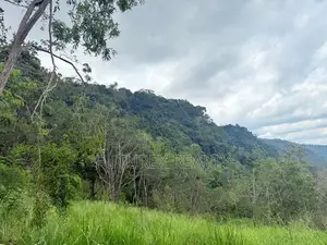 SCENIC LAND FOR SALE IN HAPUTALE BERAGALA TOURISM BELT