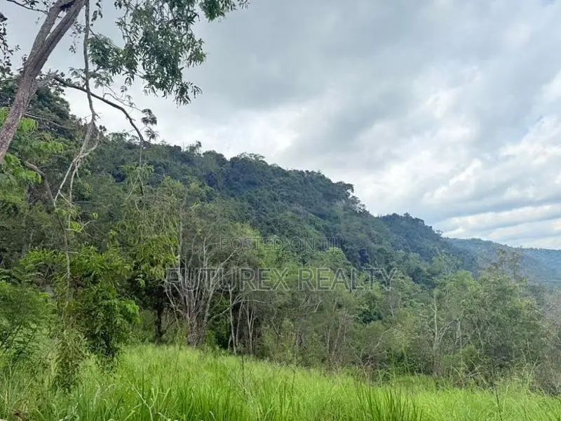 SCENIC LAND FOR SALE IN HAPUTALE BERAGALA TOURISM BELT