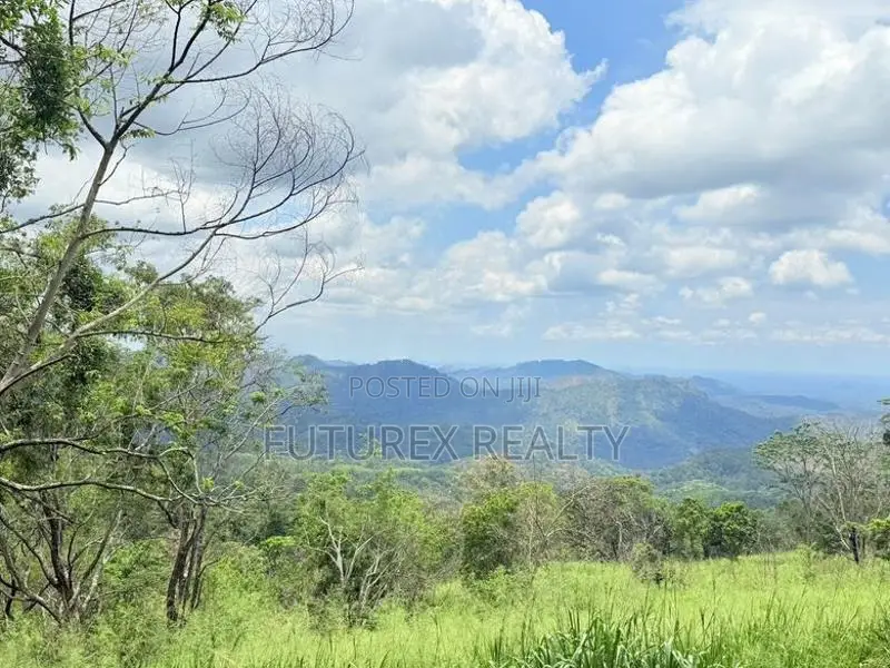 SCENIC LAND FOR SALE IN HAPUTALE BERAGALA TOURISM BELT