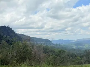 SCENIC LAND FOR SALE IN HAPUTALE BERAGALA TOURISM BELT