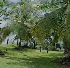 Land For Sale In Close To Godagama