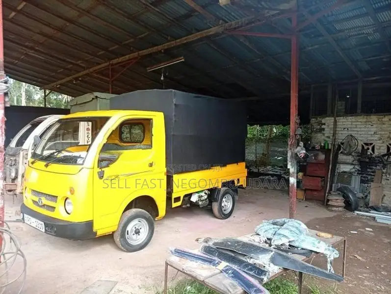 Tata Dimo Batta 2011