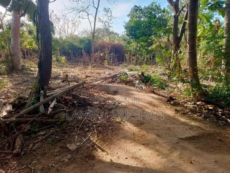 House for Sale Weerawila