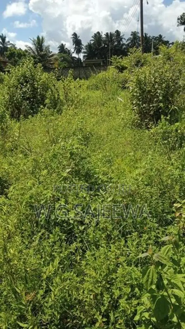 58perchLand for sale in Thibirigaskatuwa