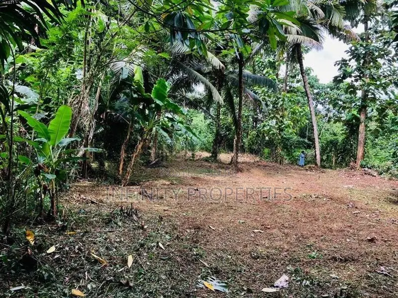 (AF936) Water Front 40P Land Sale in Kalutara