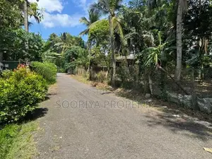 400M To Colombo Road Superb Land for Sale in Piliyandala