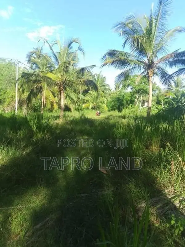 Valuable Land for Sale in Embilipitiya Town Area