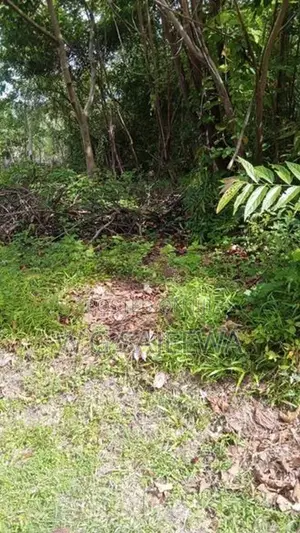 37.8perch Land for sale in kandawala, katana