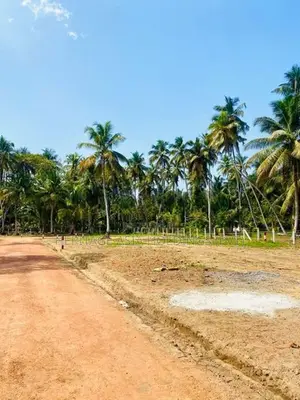 Land for Sale in Pambala