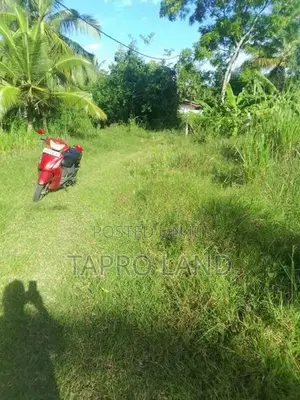 Valuable Land for Sale in Embilipitiya Town Area