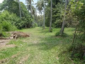 Minuwangoda Kotugoda 40 Container Access Land on Sale Warehouse Factor
