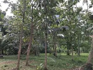322perch Land for sale in godigamuwa