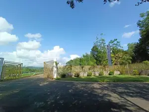 Valuable land for sale in Eheliyagoda