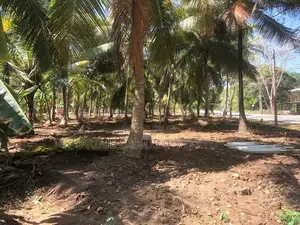 සියලු පහසුකම් සහිතව පදිංචියට ඉඩමක් පාදෙනිය