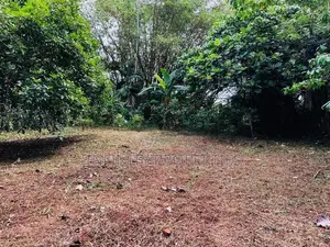 Water Front 40P Land Sale at Kalutara