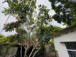 (AF929) 40P Land Sale At Mirihana Nugegoda
