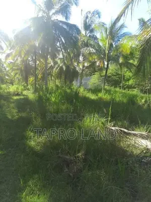 Valuable Land for Sale in Embilipitiya Town Area
