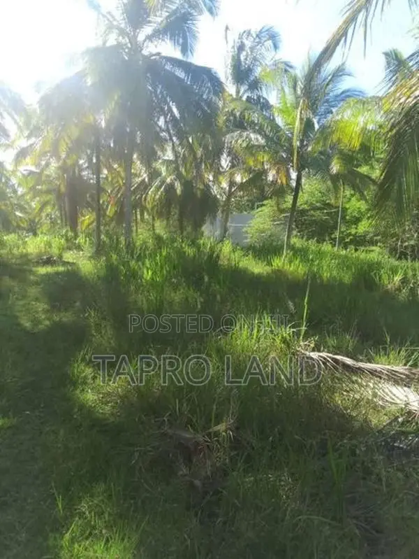 Valuable Land for Sale in Embilipitiya Town Area