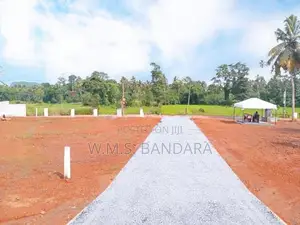 Dambadeniya Land for Sale P4