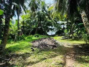 Bolgoda Lake Facing Land for Sale in Moratuwa