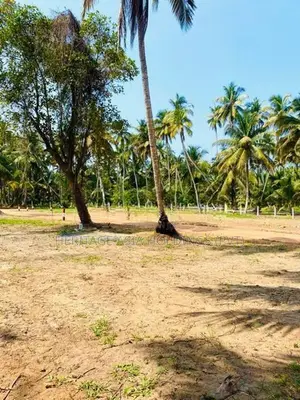 හලාවත අවටින් සින්නක්කර බිම් කොටස්