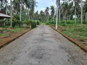 Mirigama - Hapugahage Watta 12.5 Perches of Land for Sale
