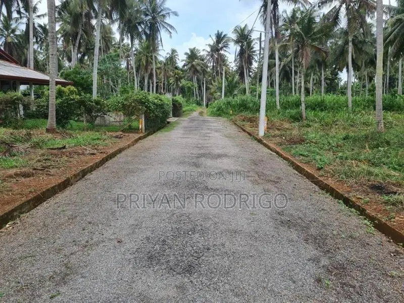Mirigama - Hapugahage Watta 12.5 Perches of Land for Sale