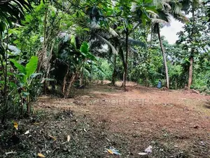 Water Front 40P Land Sale at Kalutara