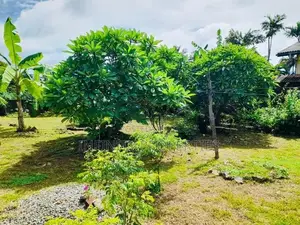 (AF935) 25P Land Sale At Jubbli Mawatha Post Nugegoda