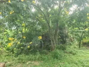 Land Sale For Cabana Hotel Matale