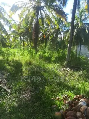 Valuable Land for Sale in Embilipitiya Town Area