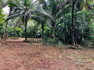 (AF936) Water Front 40P Land Sale in Kalutara
